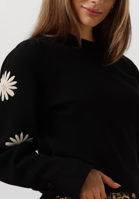 Zwarte FABIENNE CHAPOT Trui BIBA PULLOVER - large
