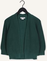 Groene BELLAMY Vest TESS Groene BELLAMY Vest TESS - medium
