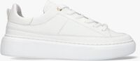 Witte TANGO Lage sneakers ALEX 17 - medium