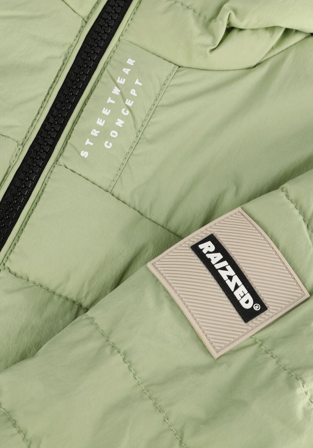 Groene RAIZZED Jack THEODORE - large