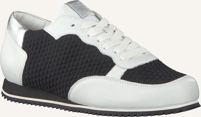 Zwarte HASSIA Lage sneakers 1624 Zwarte HASSIA Lage sneakers 1624 - large