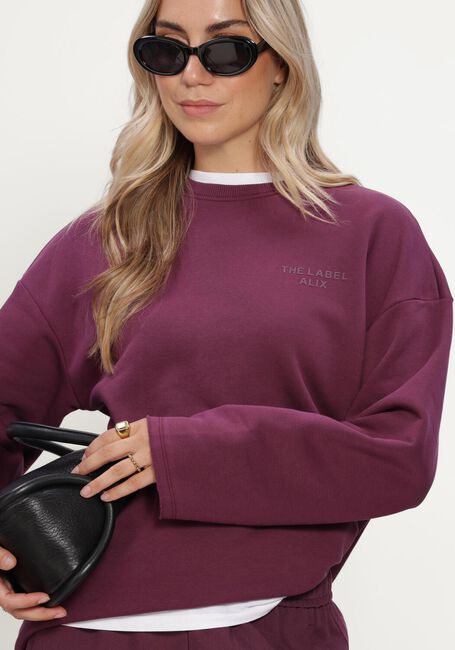 Bordeaux ALIX THE LABEL Trui LADIES KNITTED THE LABEL SWEATER - large