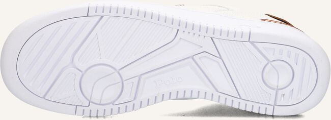 Witte POLO RALPH LAUREN Lage sneakers MASTERS COURT LOW TOP Witte POLO RALPH LAUREN Lage sneakers MASTERS COURT LOW TOP - large