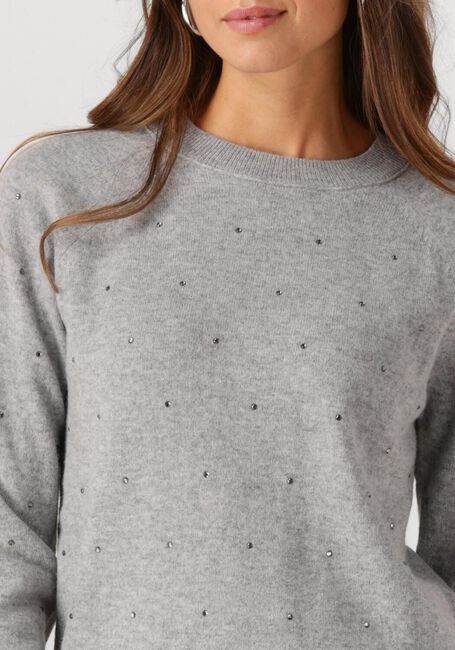 Grijze FABIENNE CHAPOT Trui LIDI RHINESTONE PULLOVER - large