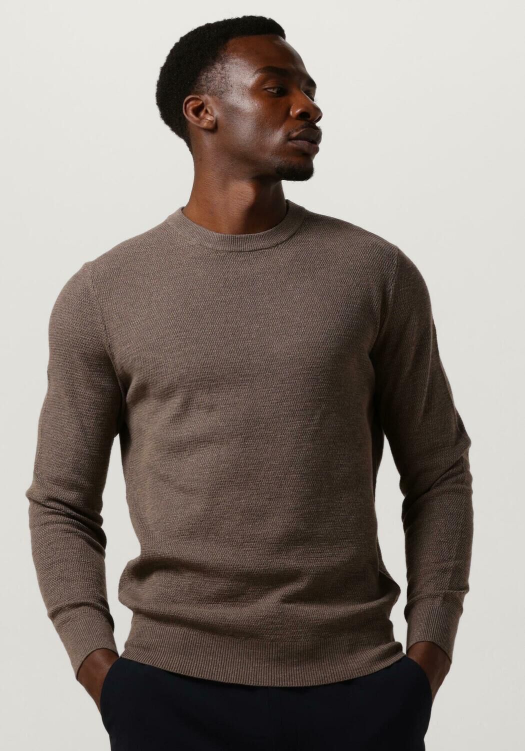 PROFUOMO Heren Truien & Vesten Pullover Crew Neck Bruin