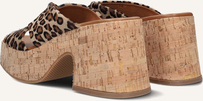 Bruine NOTRE-V Muiltjes 989001 Bruine NOTRE-V Muiltjes 989001 - large