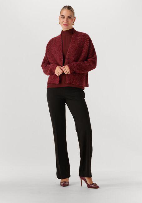 Zwarte ANA ALCAZAR Pantalon TROUSERS - large