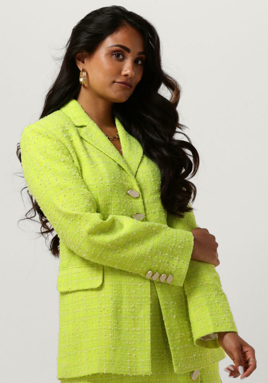 Fabienne Chapot Cher Blazer Stijlvol en Trendy Green Dames