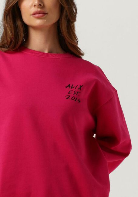 Roze ALIX THE LABEL Trui 2014 SWEATER - large