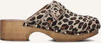 Bruine NOTRE-V Clogs 7743 - medium