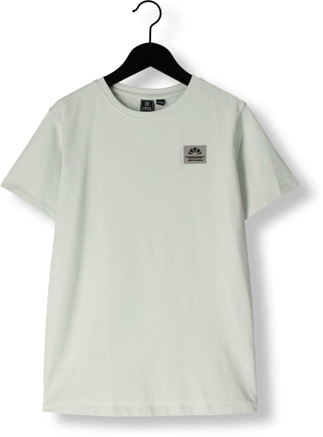 INDIAN BLUE JEANS Jongens Polo's & T-shirts T-shirt Badge And Backprint Lichtblauw