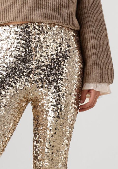 Gouden JOSH V Flared broek FLORA - large