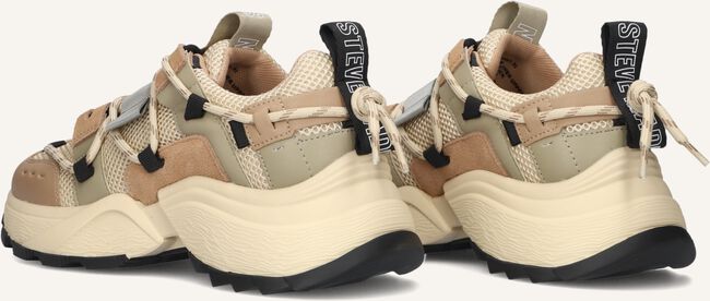 Groene STEVE MADDEN Lage sneakers TAZMANIA Groene STEVE MADDEN Lage sneakers TAZMANIA - large