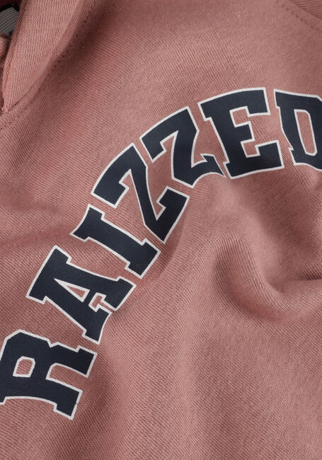 Roze RAIZZED Sweater CHARLOTTE - large