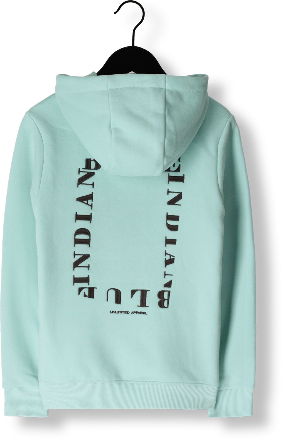 INDIAN BLUE JEANS Jongens Truien & Vesten Hoodie Indian Brushed Groen