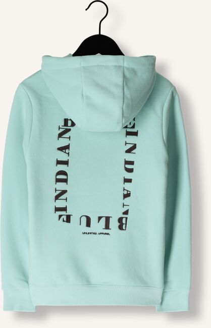 Groene INDIAN BLUE JEANS Sweater HOODIE INDIAN BRUSHED Groene INDIAN BLUE JEANS Sweater HOODIE INDIAN BRUSHED - large