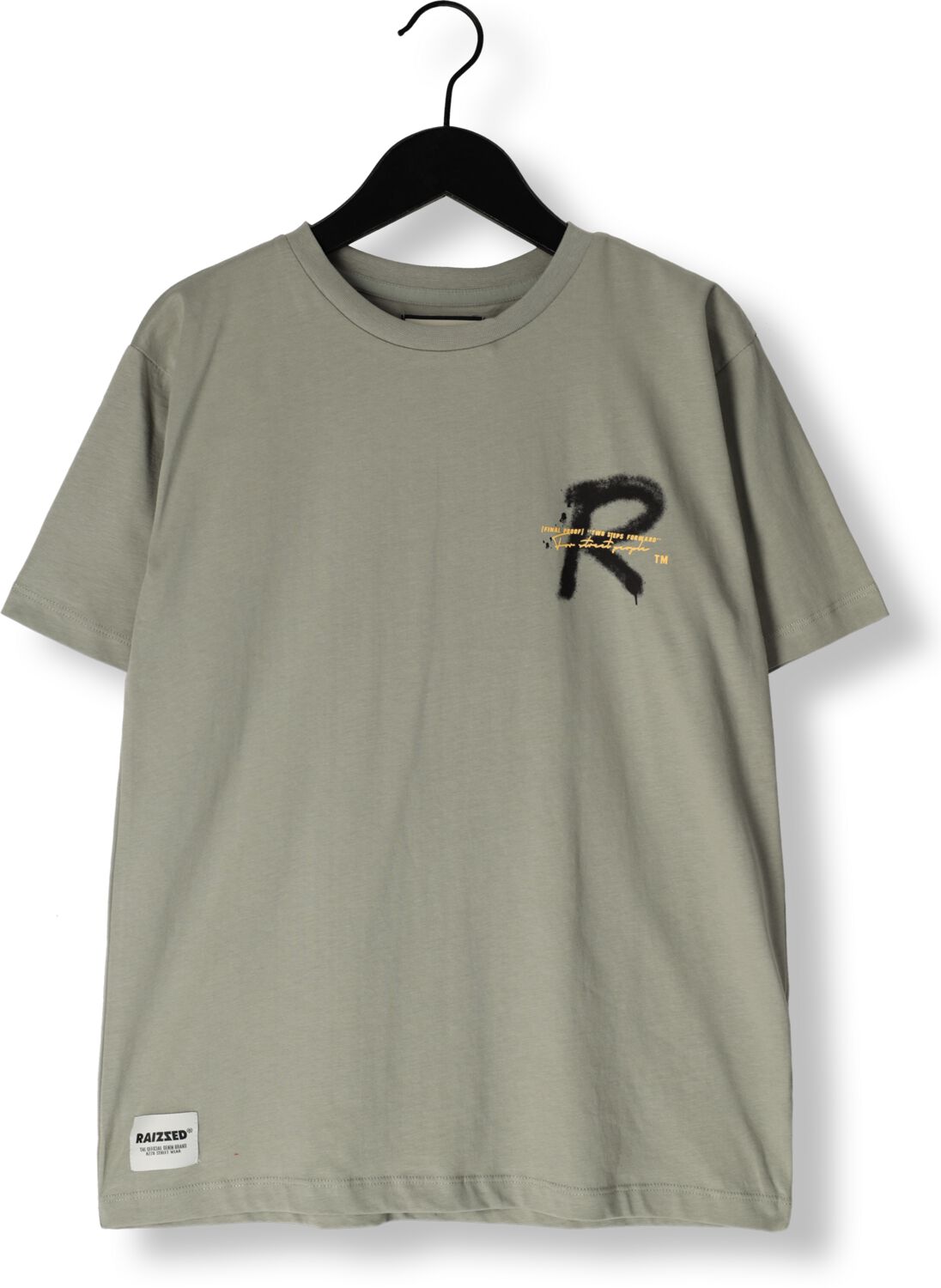 Raizzed T-shirt Halston met printopdruk grijsgroen Jongens Katoen Ronde hals 128
