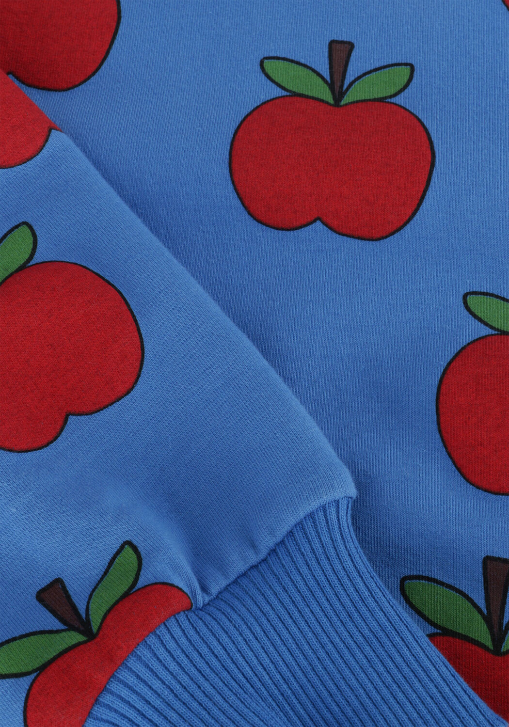 Blauwe CARLIJNQ Sweater APPLE-SWEATER (NEW STYLE) - large