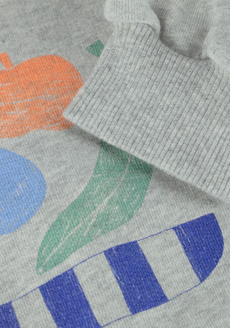 Grijze Sproet & Sprout Sweater RAGLAN SWEATSHIRT FRUIT - large