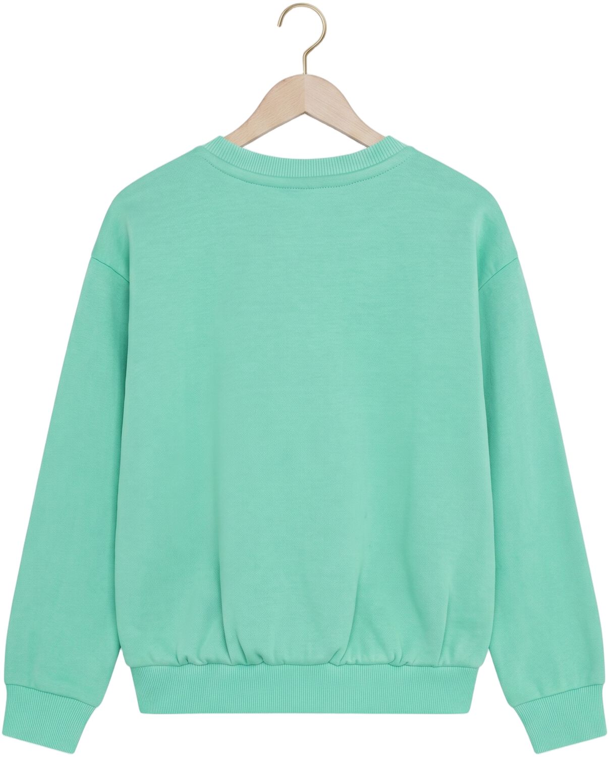 DAILY7 Meisjes Truien & Vesten Sweater Cropped Mint