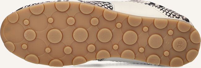 Beige TORAL Lage sneakers VINCI Beige TORAL Lage sneakers VINCI - large