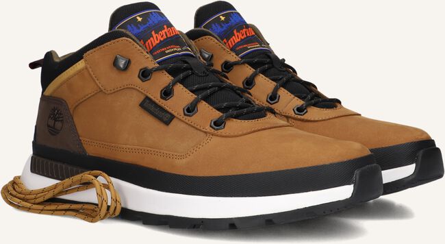 Bruine TIMBERLAND Lage sneakers FIELD TREKKER LOW LACE UP Bruine TIMBERLAND Lage sneakers FIELD TREKKER LOW LACE UP - large