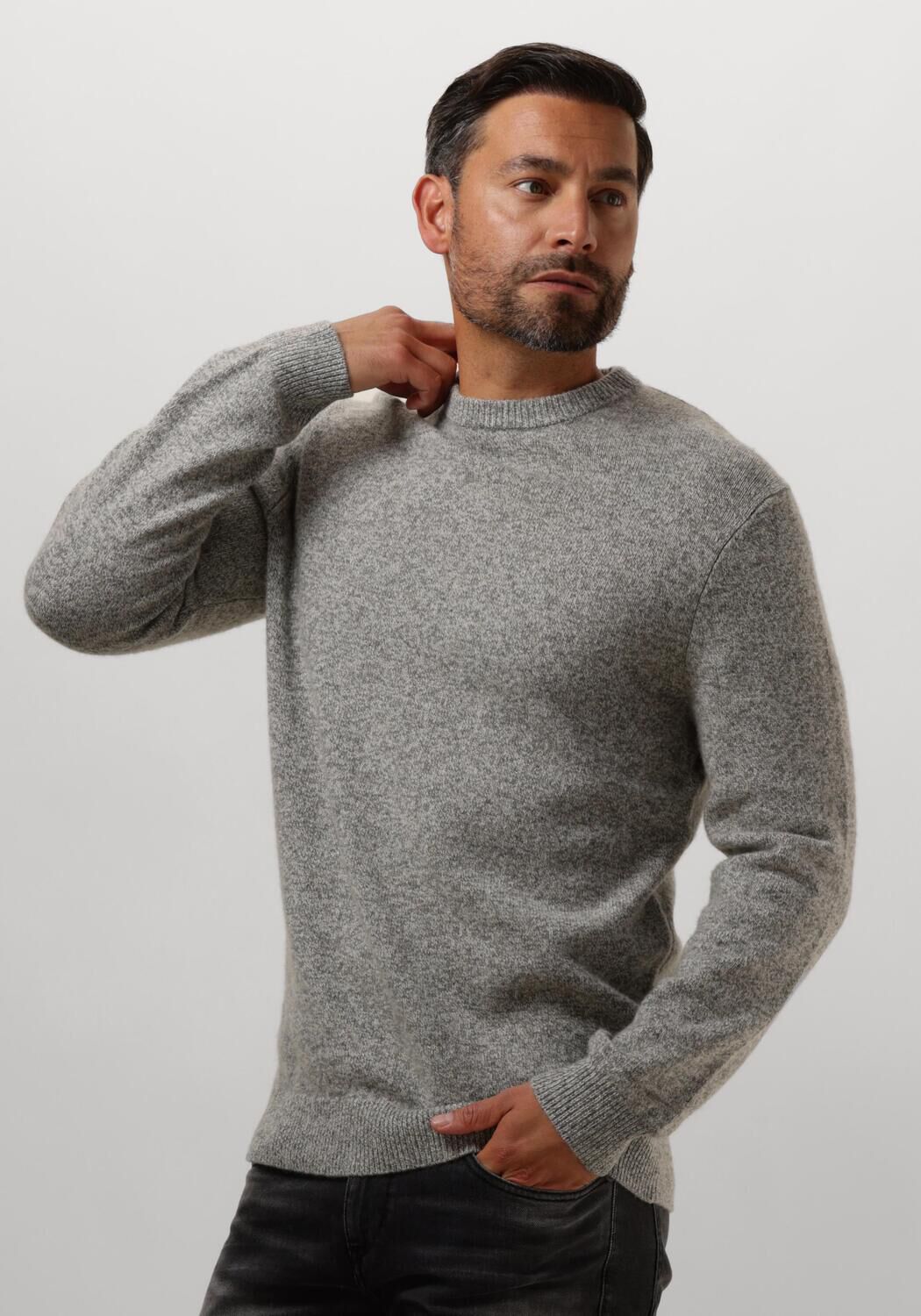 PROFUOMO Heren Truien & Vesten Pullover Crew Neck Grijs