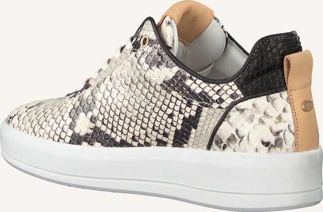 Beige FRED DE LA BRETONIERE Lage sneakers 101010130 Beige FRED DE LA BRETONIERE Lage sneakers 101010130 - large