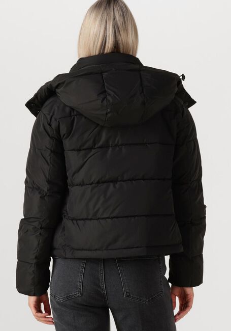 Zwarte CALVIN KLEIN Gewatteerde jas MATTE MONOLOGO MW SHORT PUFFER - large