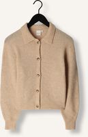 KNIT-TED DANNY KNIT-TED DANNY - medium