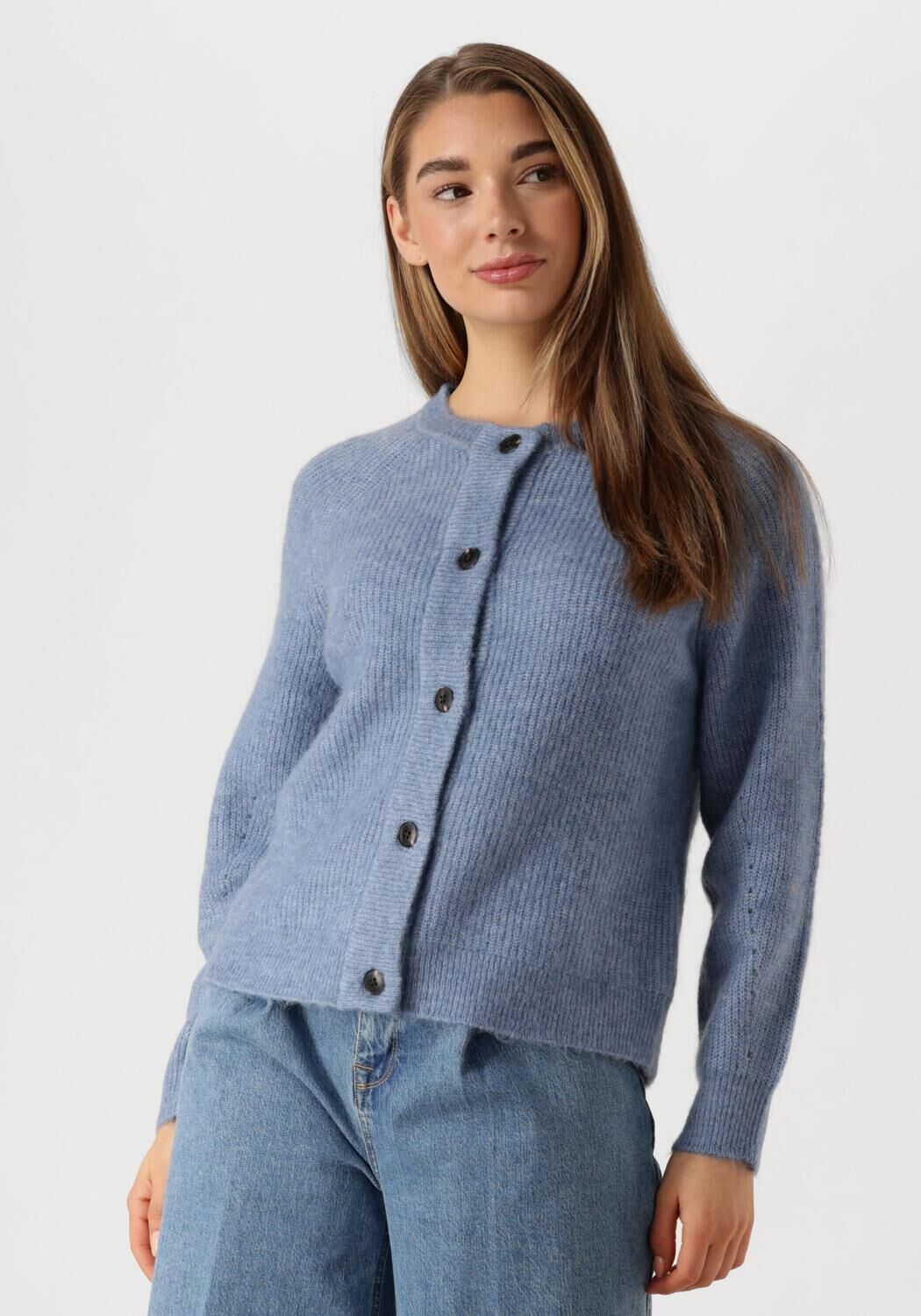 SELECTED FEMME Dames Truien & Vesten Slflulu Ls Knit Short Cardigan Blauw