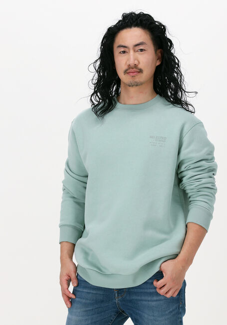 Groene SELECTED HOMME Sweater SLHLOOSEARVID CREW NECK SWEAT - large