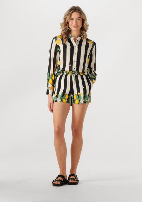 Zwarte WILD Korte broek PALERMO - large