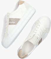 Witte PAUL GREEN Lage sneakers 5330 - medium