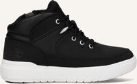 Zwarte TIMBERLAND Hoge sneakers SENECA BAY MID Zwarte TIMBERLAND Hoge sneakers SENECA BAY MID - medium
