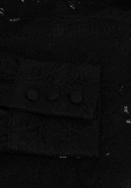 AAIKO MUZE PES 566 AAIKO MUZE PES 566 - large