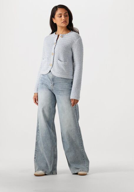 Lichtblauwe JANICE Flared jeans MASON - large