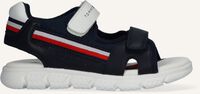 Blauwe TOMMY HILFIGER Platte sandalen 31107 - medium