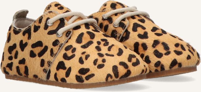 Cognac LITTLE INDIANS Sneakers OXFORD BOOTIES Cognac LITTLE INDIANS Sneakers OXFORD BOOTIES - large