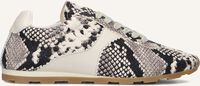 Beige TORAL Lage sneakers VINCI Beige TORAL Lage sneakers VINCI - medium