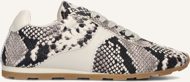 Beige TORAL Lage sneakers VINCI Beige TORAL Lage sneakers VINCI - large