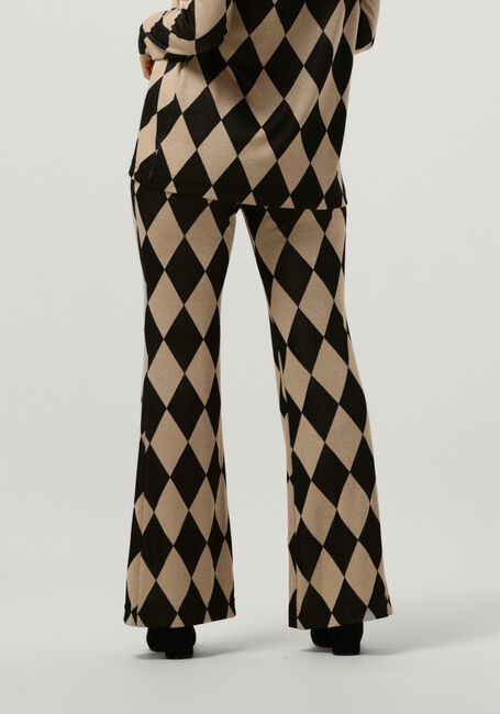 Bruine ANA ALCAZAR Pantalon TROUSERS - large