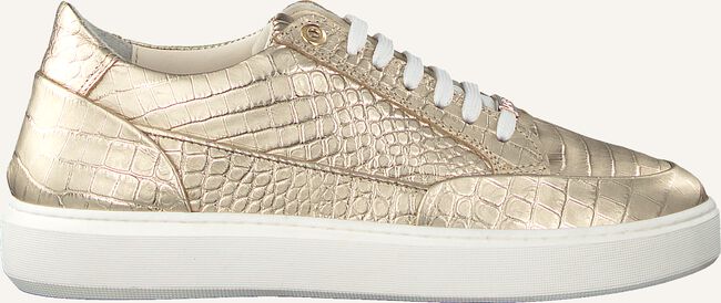 Gouden NOTRE-V Lage sneakers 2000\03 Gouden NOTRE-V Lage sneakers 2000\03 - large