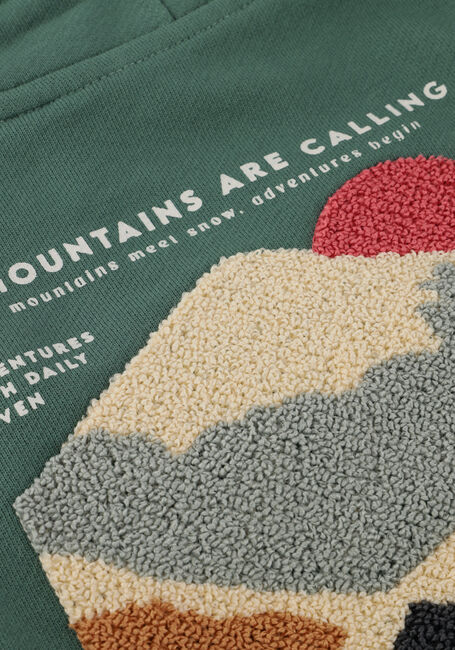 Groene DAILY7 Trui HOODIE BACKPRINT - large