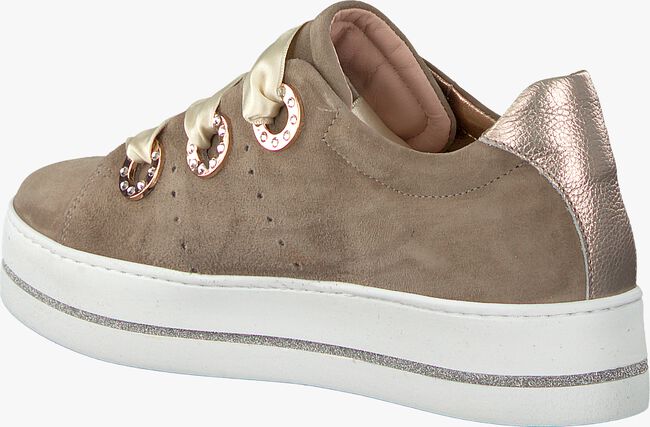 Taupe MARIPE Lage sneakers 26708 - large