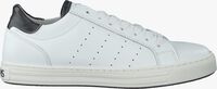 Witte GIGA Lage sneakers 8482 - medium