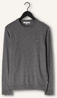 Grijze THE GOODPEOPLE Trui KNOX Grijze THE GOODPEOPLE Trui KNOX - medium