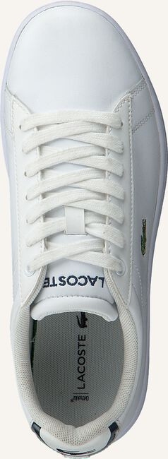 Witte LACOSTE Lage sneakers CARNABY EVO DAMES Witte LACOSTE Lage sneakers CARNABY EVO DAMES - large