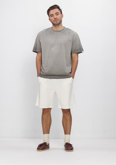 Grijze ANERKJENDT T-shirt AKVILLADS WASHED TEE - large