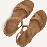Panama Jack Zwarte Plateau Sandalen Serena Black Dames Panama Jack Zwarte Plateau Sandalen Serena Black Dames